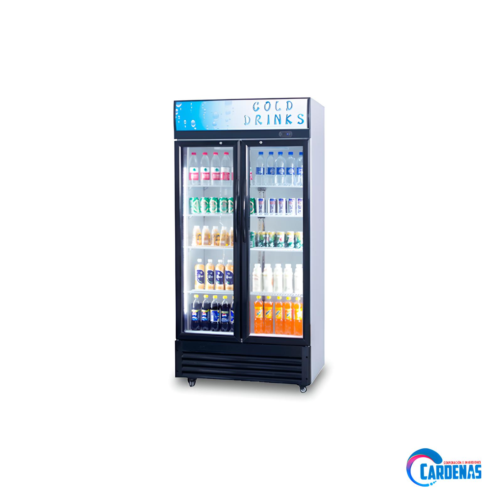 VISICOOLER DE 2 PUERTAS DE 880 LTS KING COMPANY MOD SC-908FH